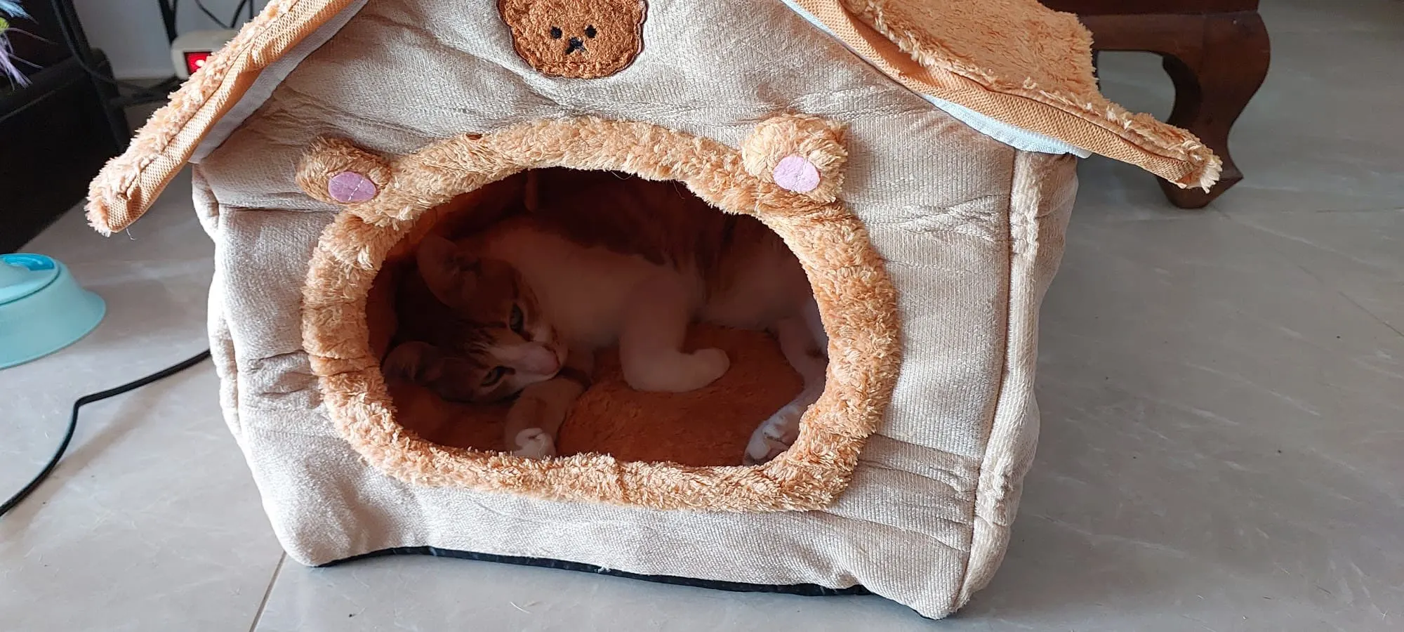 Cozy Foldable Pet House: Washable Cave for Cats & Small Dogs photo review