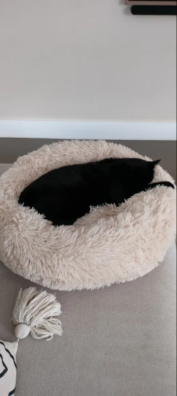Plush Donut Cat Bed: Cozy, Washable Comfort for Pets photo review