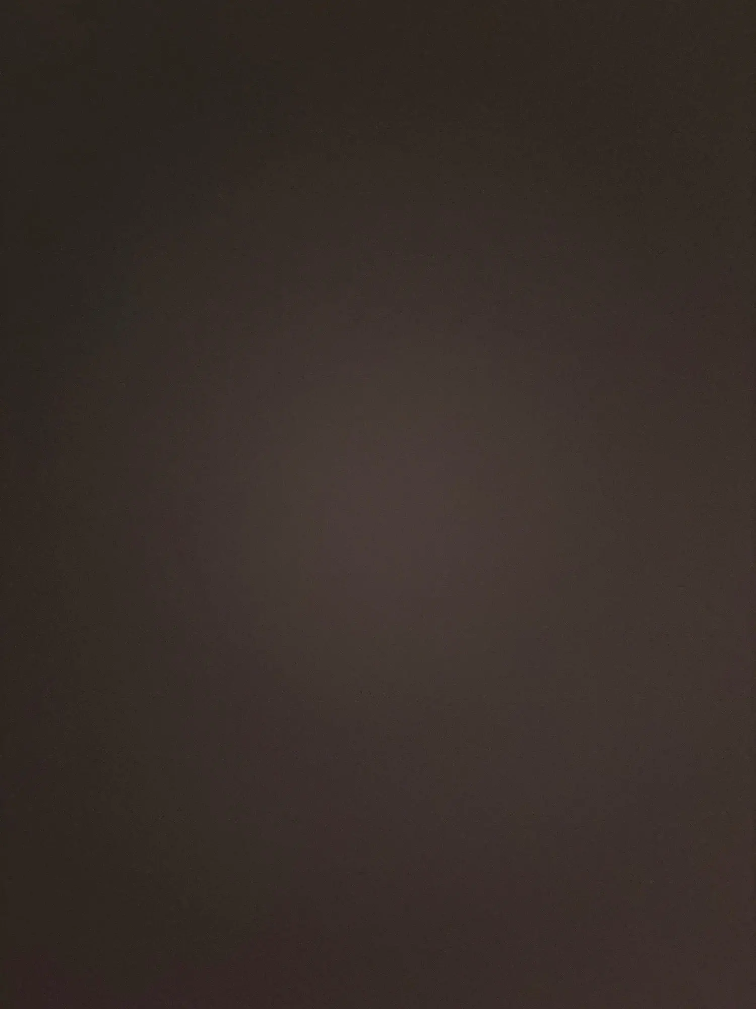 Luxurious Autumn White Silk Roses Bouquet for Timeless Elegance photo review