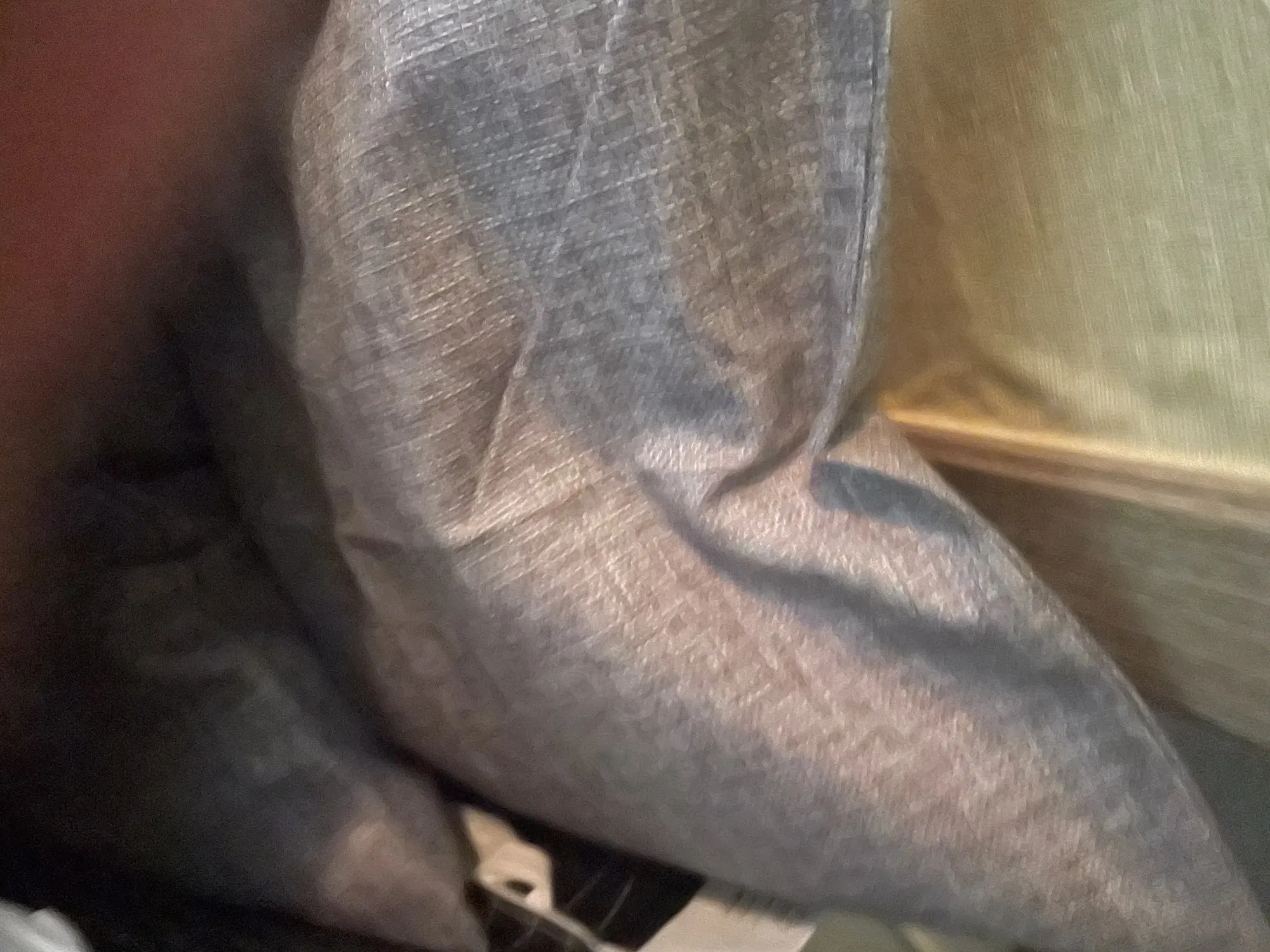 Cozy Cream Pineapple Turtle Plush Pillowcase for Home Decor photo review