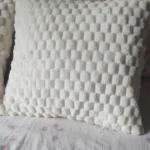 Cozy Cream Pineapple Turtle Plush Pillowcase for Home Decor photo review