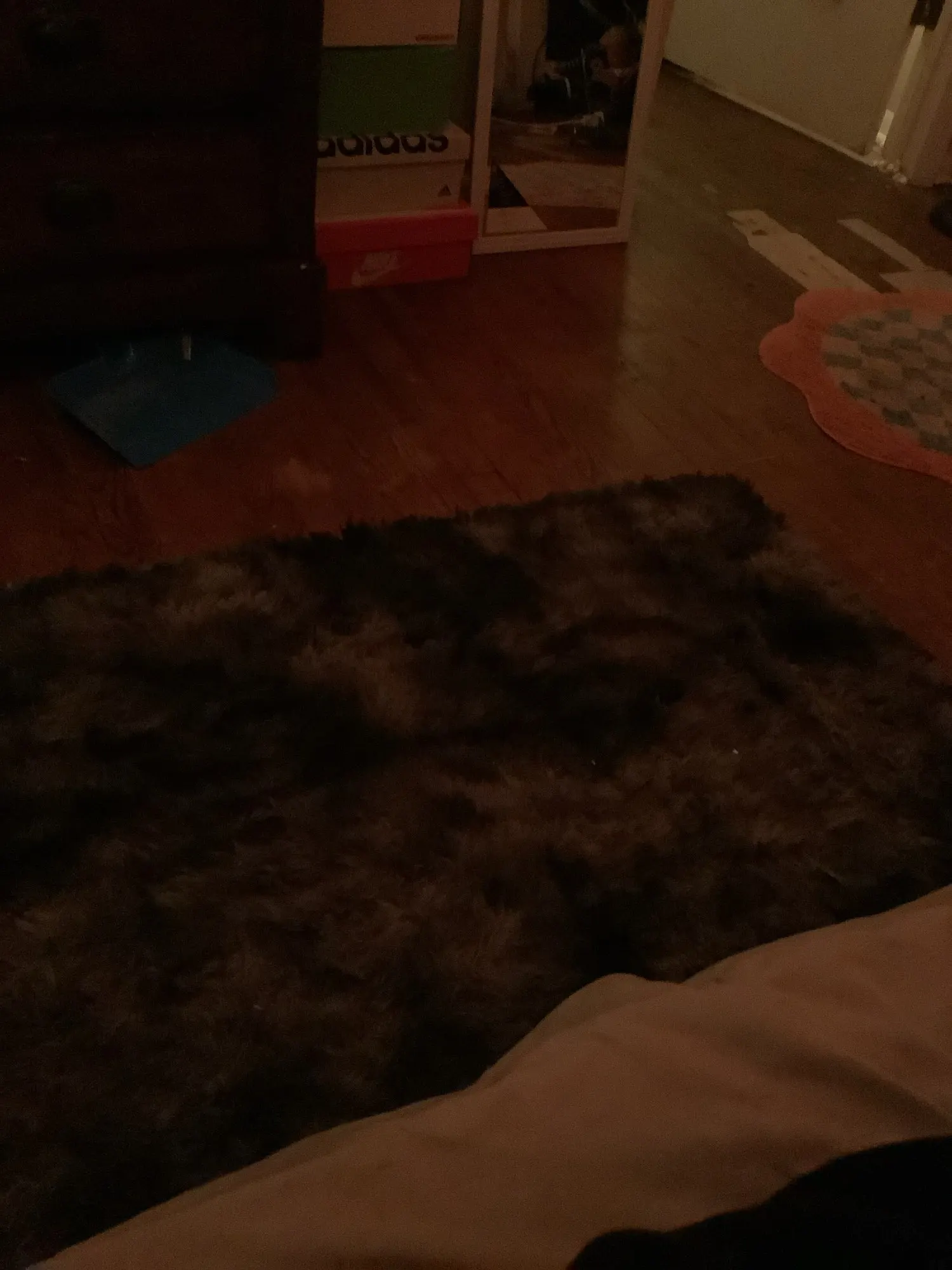 Luxurious Plush Area Rug for Cozy Living Spaces and Playrooms photo review