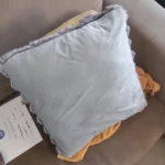 Cozy Cream Pineapple Turtle Plush Pillowcase for Home Decor photo review