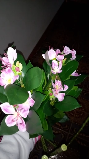 Lifelike Tropical Ficus Tree - No-Maintenance Home Decor photo review