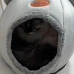 Cozy Cotton Cat Cave: Ultimate Winter Pet Bed Retreat photo review