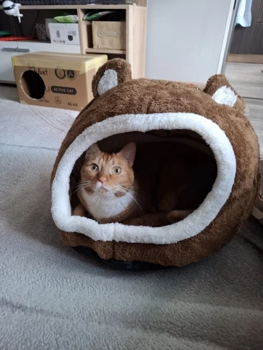 Cozy Plush Cat Cave: The Ultimate Lounger for Feline Comfort photo review