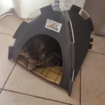 Versatile Foldable Cat Tent: Cool & Cozy All-Season Haven photo review