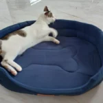 Dog Cushions Pet Bed Sofa Beds Large Dogs Fluffy Medium Blanket Pets Accessories Bad Mat Products Puppy Supplies Cats Small Big photo review