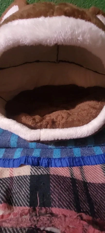 Cozy Plush Cat Cave: The Ultimate Lounger for Feline Comfort photo review