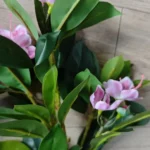 Lifelike Tropical Ficus Tree - No-Maintenance Home Decor photo review
