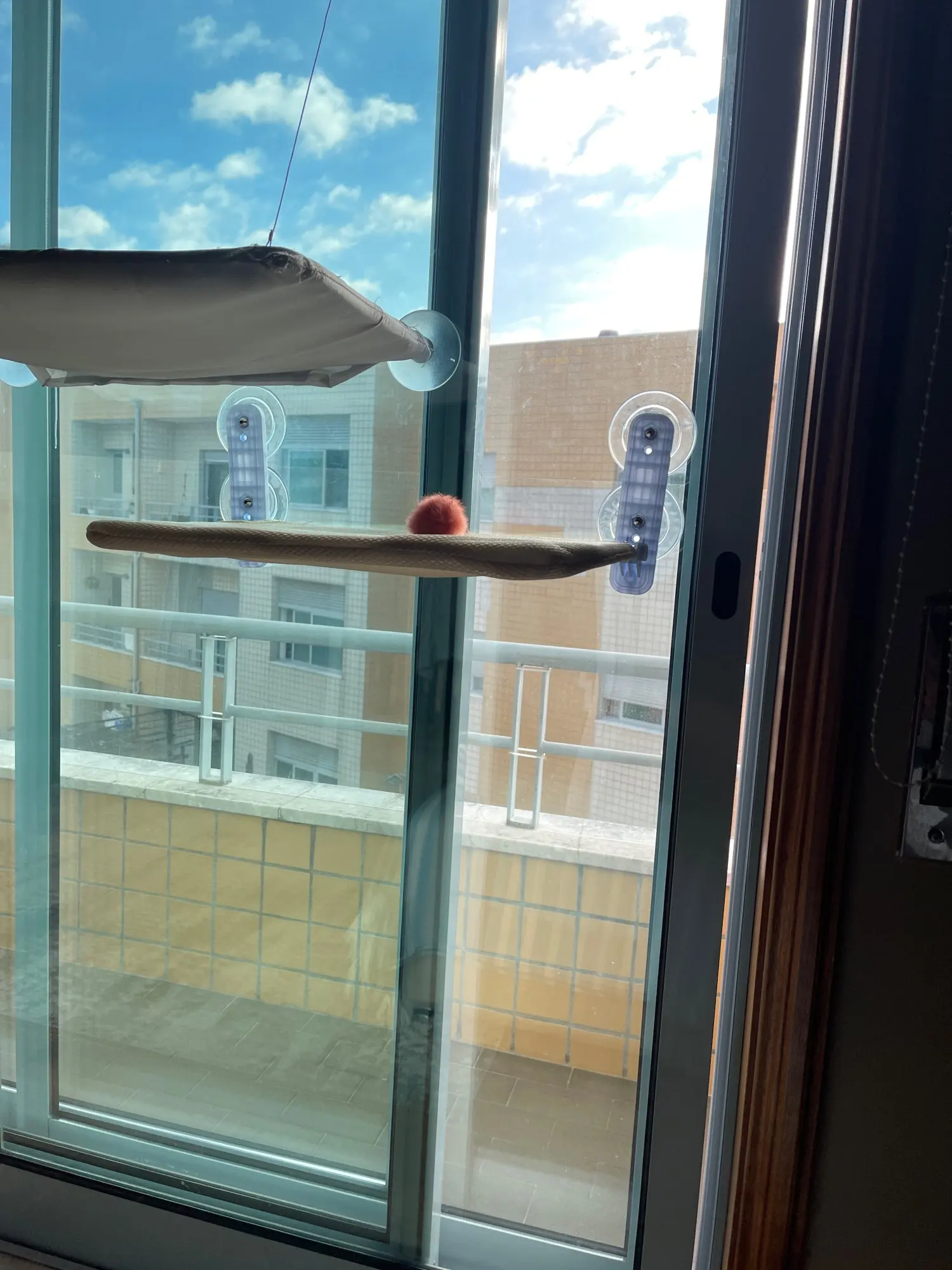 Sunshine Bliss: Foldable Suction Cup Cat Hammock Bed photo review