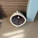 Cozy Cartoon Cat Bed: Removable, Washable, & Foldable Delight photo review