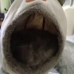 Cozy Cotton Cat Cave: Ultimate Winter Pet Bed Retreat photo review