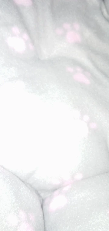 Cozy Adjustable Cotton Pet Nest Bed for Cats & Puppies photo review