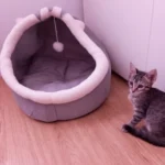 Cozy Cartoon Cat Bed: Removable, Washable, & Foldable Delight photo review