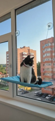 Sunny Cat Hammock Bed - Cozy Aerial Window Nest for Cats photo review