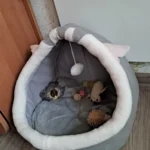 Cozy Cartoon Cat Bed: Removable, Washable, & Foldable Delight photo review