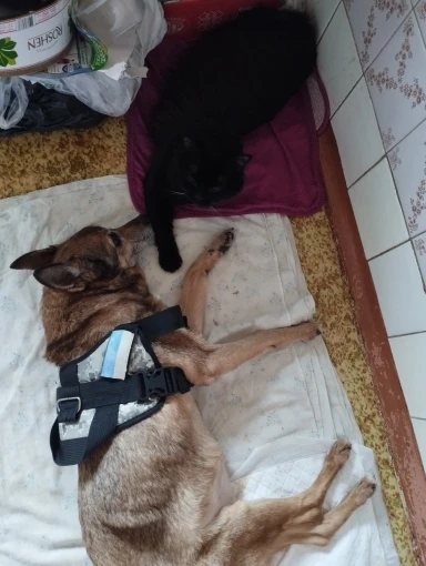 Ultra Cozy Fluffy White Round Rug for Chic Home Decor photo review