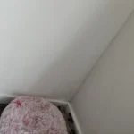 Cozy Round Pet Bed in Stylish Gradient for Large Dogs photo review