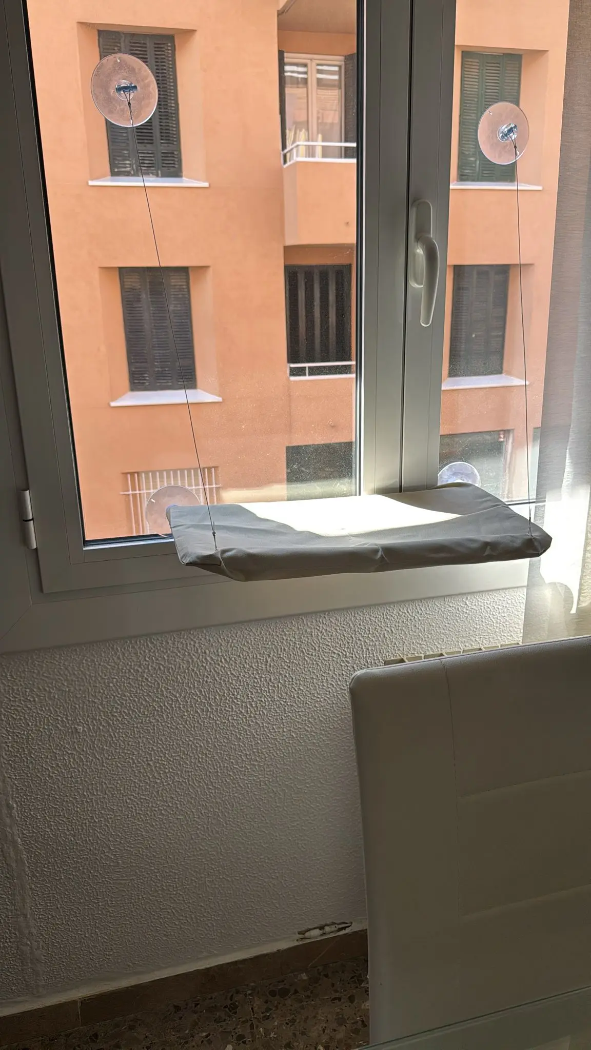 Sunny Cat Hammock Bed - Cozy Aerial Window Nest for Cats photo review