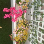 Lifelike Cherry Blossom Silk Flowers for Elegant Home Decor photo review