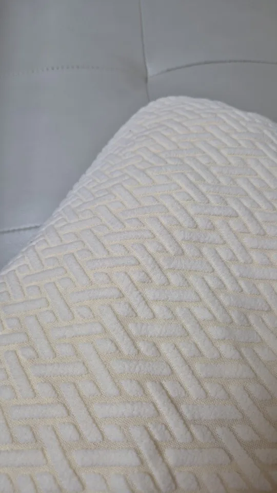 Luxurious Jacquard Sofa Cover for Custom Fit Comfort photo review