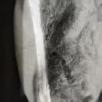 Cozy Cotton Cat Cave: Ultimate Winter Pet Bed Retreat photo review