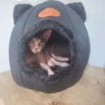 Cozy Cotton Cat Cave: Ultimate Winter Pet Bed Retreat photo review