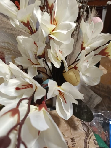 Elegant Magnolia Silk Flower Set - 5 Forks, 20 Heads for Home Decor photo review