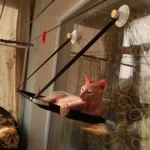 Breathable Cat Hammock with Suction Cups for Sunbathing Bliss photo review
