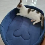 Dog Cushions Pet Bed Sofa Beds Large Dogs Fluffy Medium Blanket Pets Accessories Bad Mat Products Puppy Supplies Cats Small Big photo review