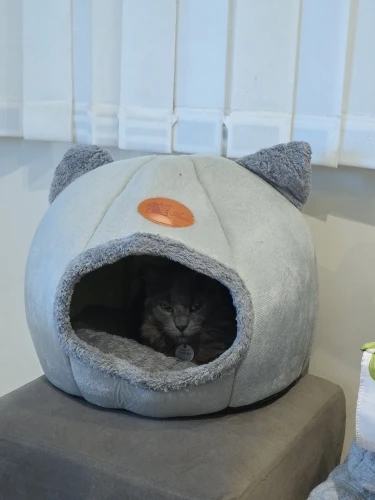 Cozy Cotton Cat Cave: Ultimate Winter Pet Bed Retreat photo review