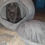 Cozy Cotton Cat Cave: Ultimate Winter Pet Bed Retreat photo review