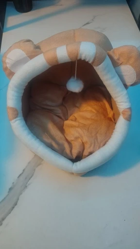 Cozy Cotton Cat Cave: Warm Pet Bed for Cats & Small Dogs photo review