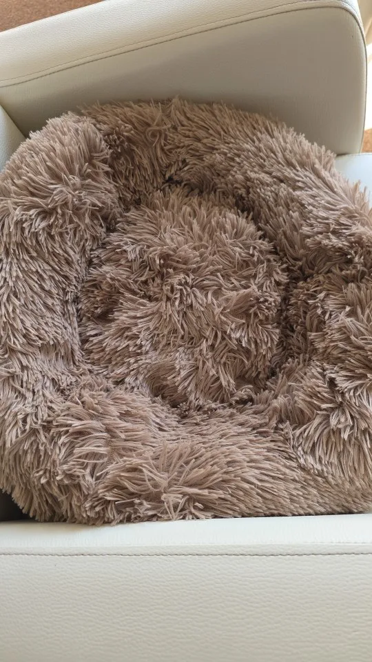 Cozy Plush Cat Bed for Ultimate Warmth & Comfort photo review