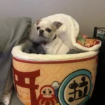 Cozy Super Large Pet Nest Bed for Dogs and Cats photo review