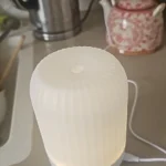 Aromatherapy Diffuser & Humidifier with Soothing Night Light photo review