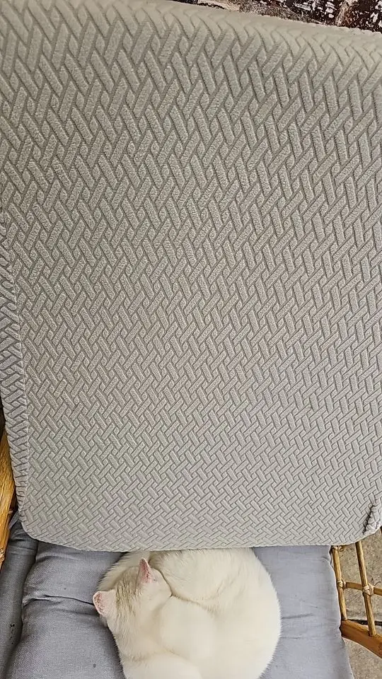 Elegant Jacquard Sofa Cover - Soft, Stretchy Protection for All Sofas photo review