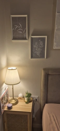 Minimalist Fern Canvas Art Set – Warm Boho Home Decor photo review