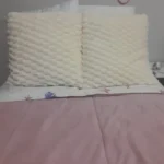 Cozy Cream Pineapple Turtle Plush Pillowcase for Home Decor photo review