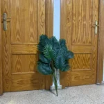 Lifelike 24-Leaf Areca Palm Duo for Effortless Decor Upgrade photo review