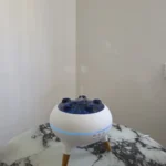 Enchanting Jellyfish Flame Humidifier & Aroma Diffuser 350 ML photo review