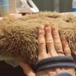 Cozy Plush Cat Bed for Ultimate Warmth & Comfort photo review