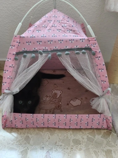 Cozy Flower Tent Nest for Cats & Small Dogs - All Seasons photo review