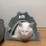 Versatile Foldable Cat Tent: Cool & Cozy All-Season Haven photo review