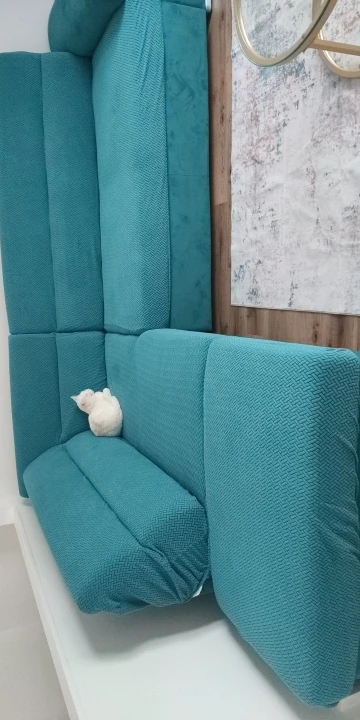 Elegant Jacquard Sofa Cover - Soft, Stretchy Protection for All Sofas photo review