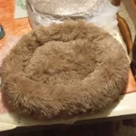 Cozy Plush Cat Bed for Ultimate Warmth & Comfort photo review