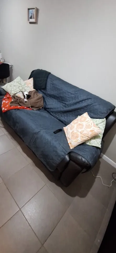 Waterproof Dog Bed Cover - Stylish, Washable Sofa Protector photo review