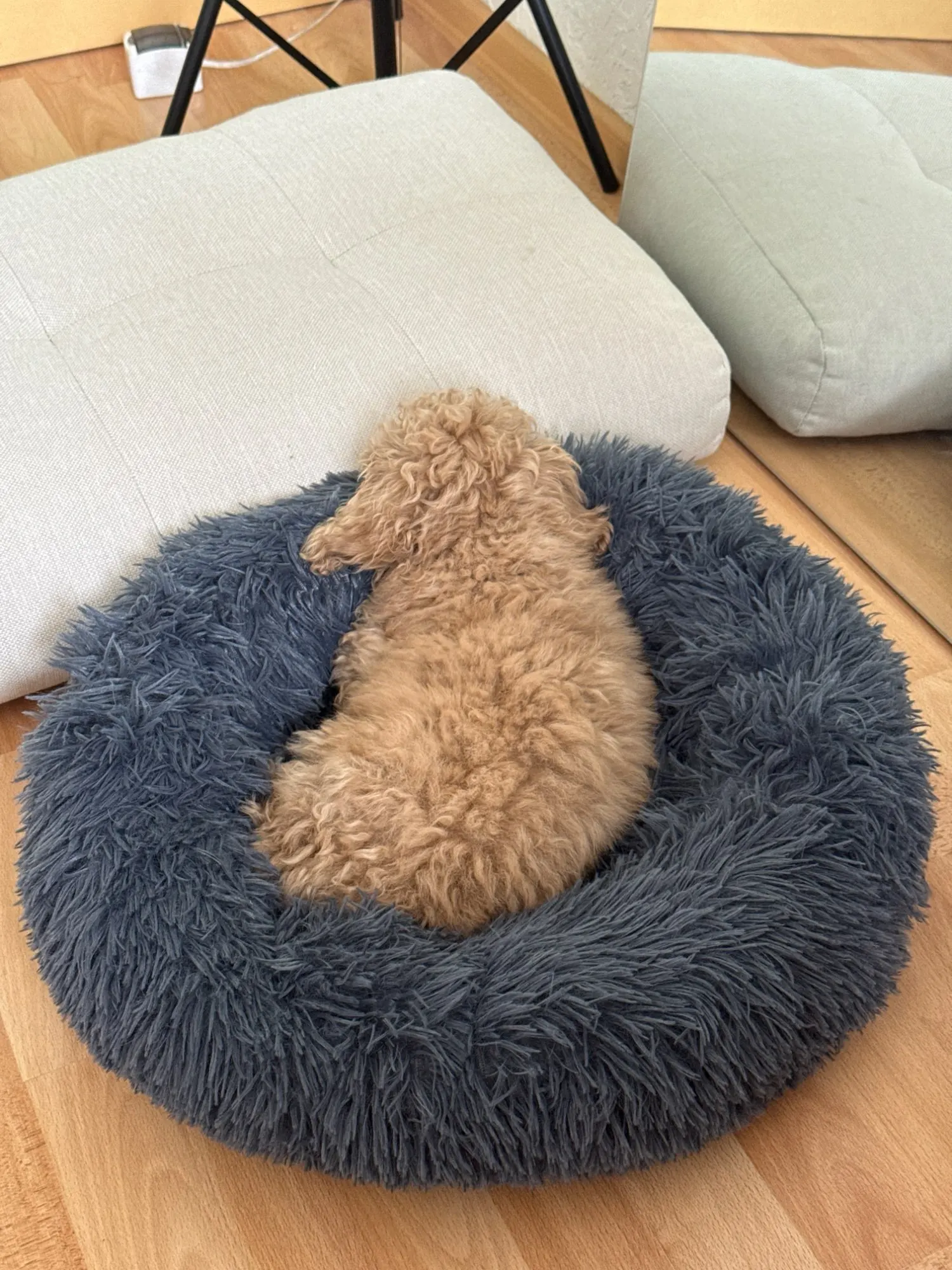 Plush Donut Cat Bed: Cozy, Washable Comfort for Pets photo review