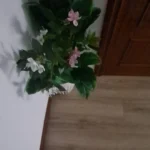 Lifelike Tropical Ficus Tree - No-Maintenance Home Decor photo review